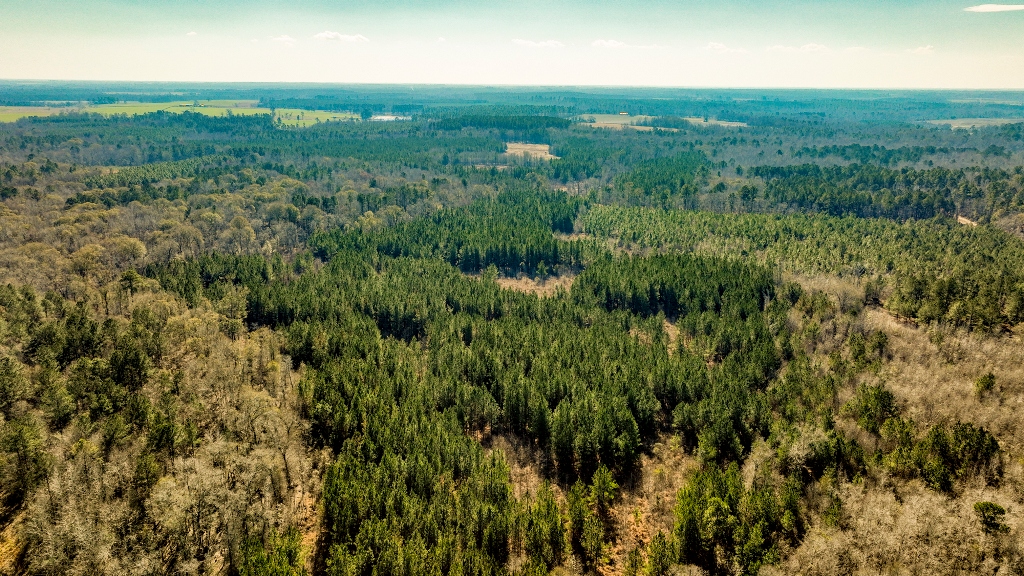 Richardson Creek Retreat – Tract 2 Photo