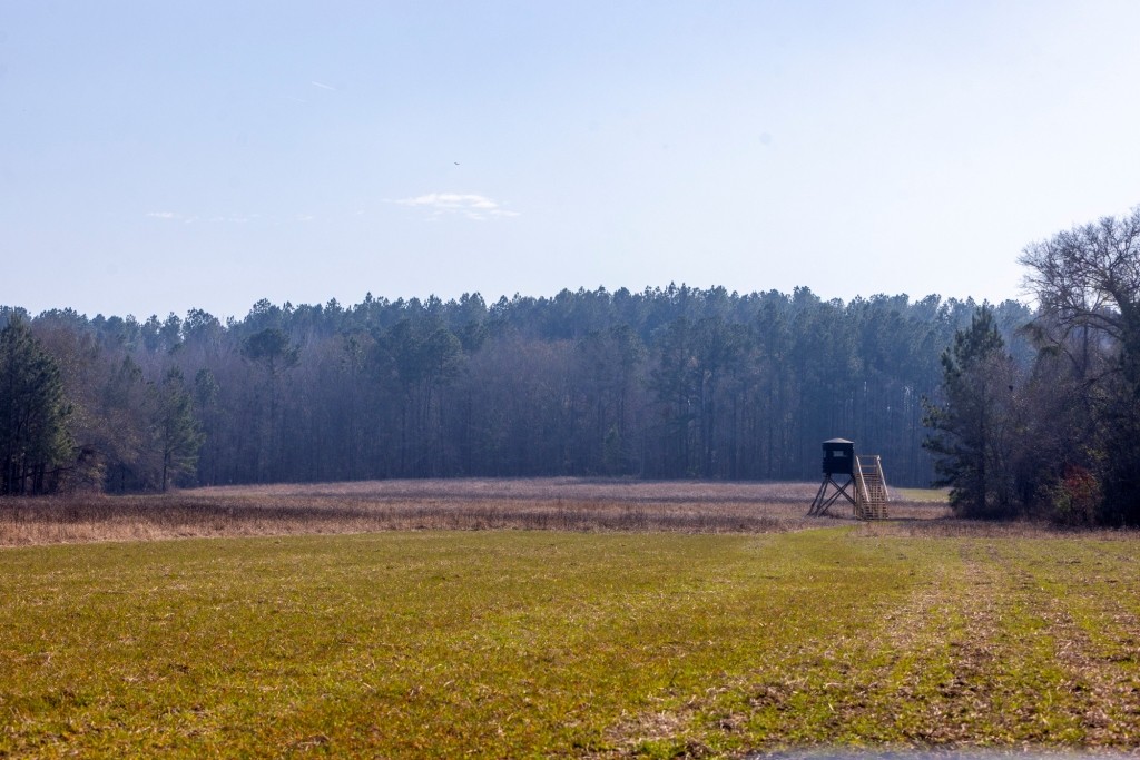 Richardson Creek Retreat – Tract 2 Photo