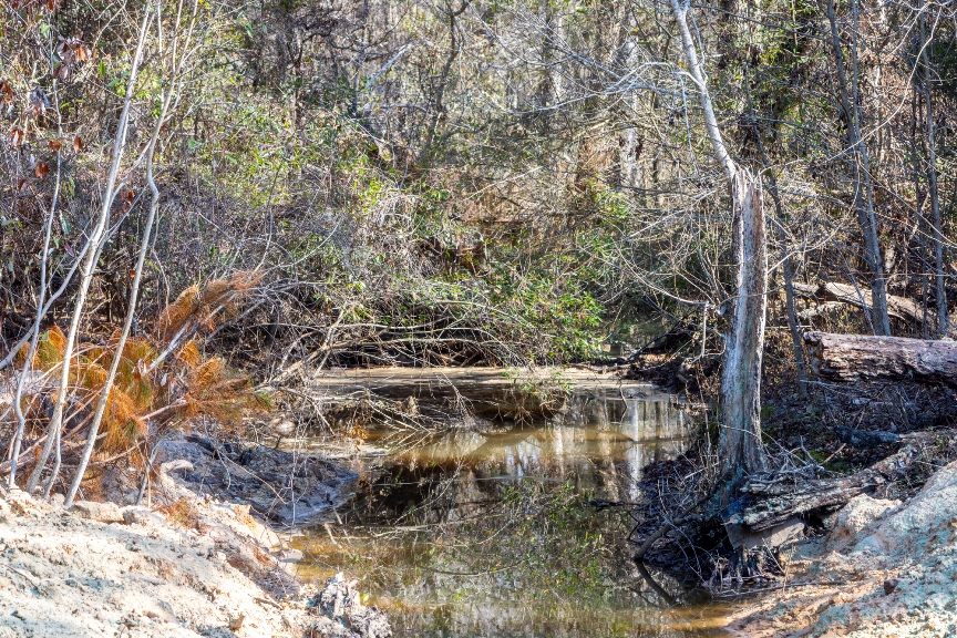 Richardson Creek Retreat – Tract 2 Photo