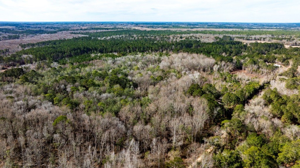 Bulloch Homeplace Photo