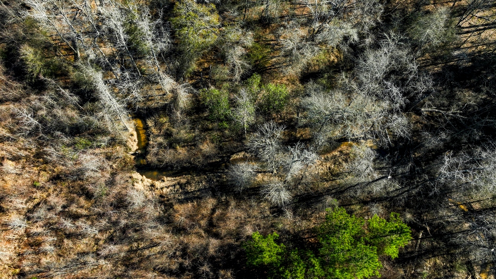 Richardson Creek Retreat Photo