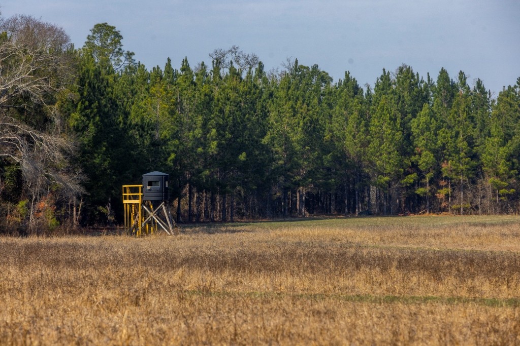 Richardson Creek Retreat Photo