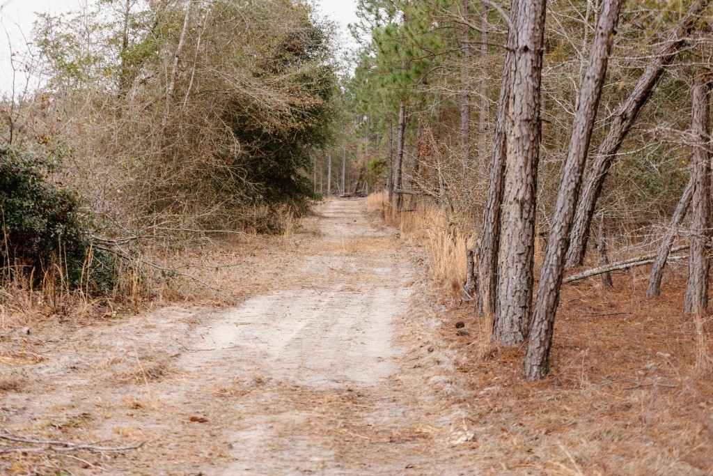 Bunn Store Road Homesite Photo