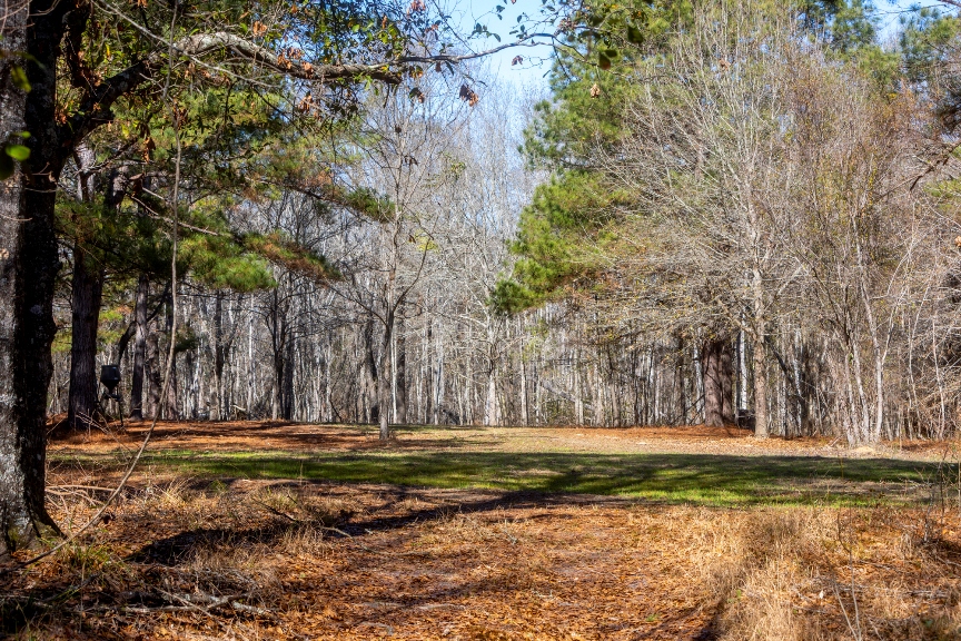 Richardson Creek Retreat – Tract 2 Photo