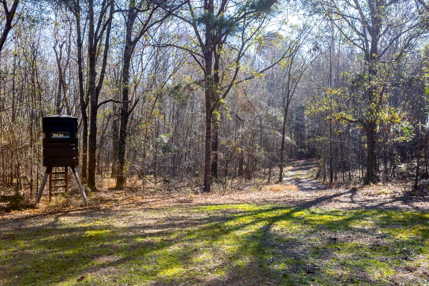 Richardson Creek Retreat Photo