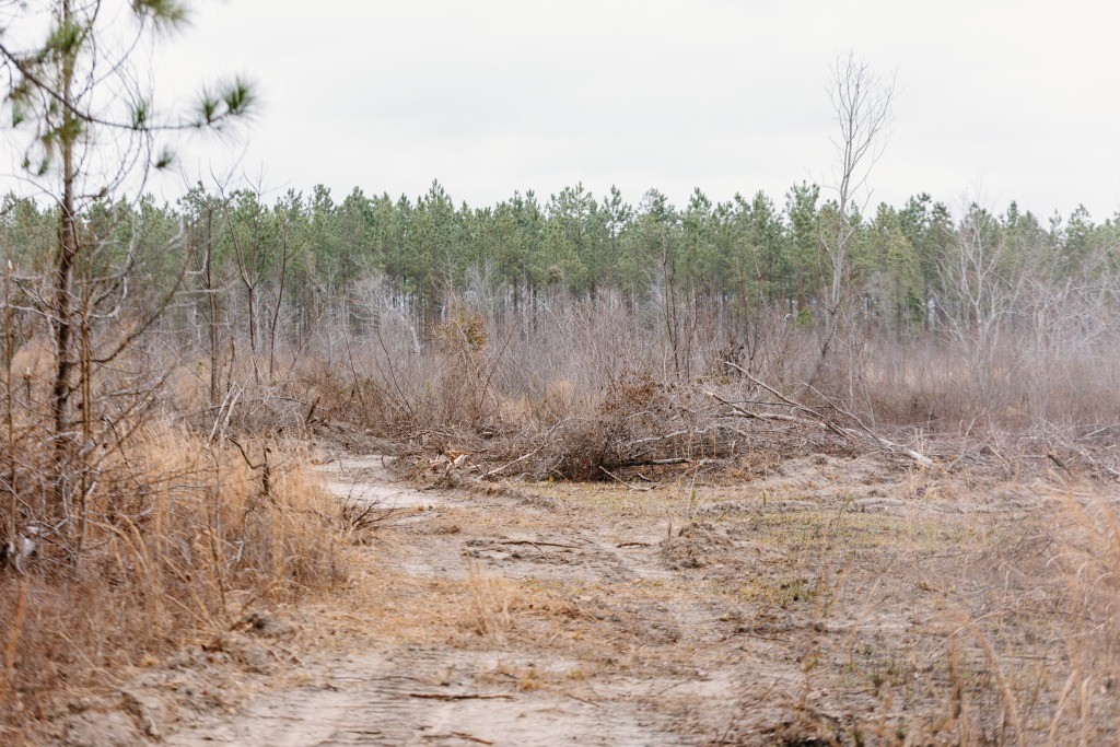 Bunn Store Road Homesite Photo