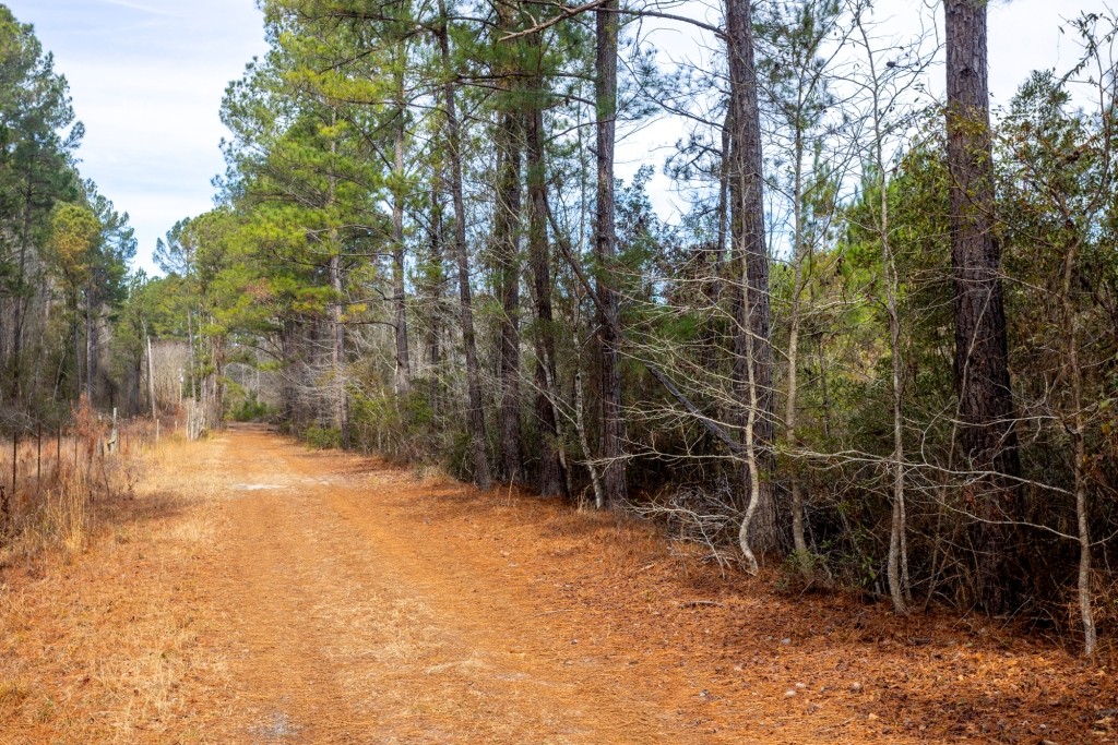 Bulloch Homeplace Photo
