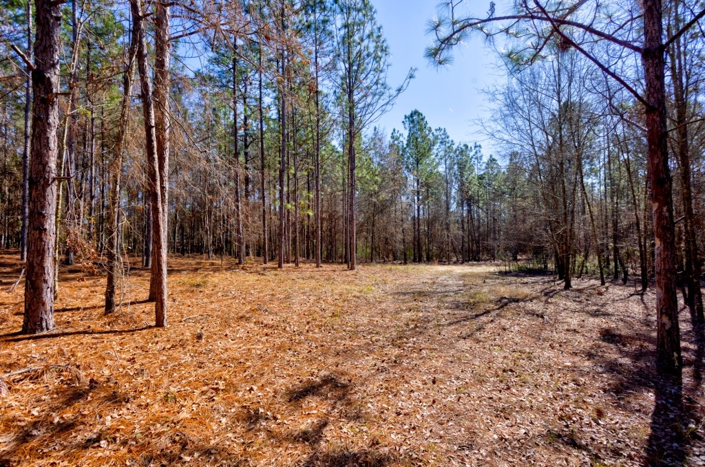 Sylvester Acres Photo