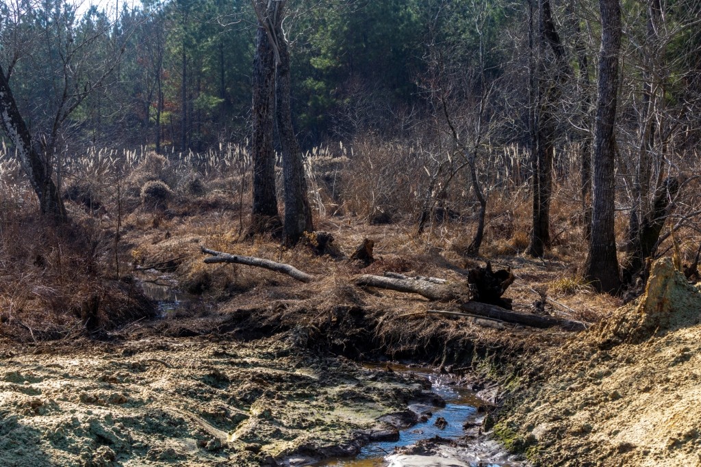 Richardson Creek Retreat – Tract 2 Photo
