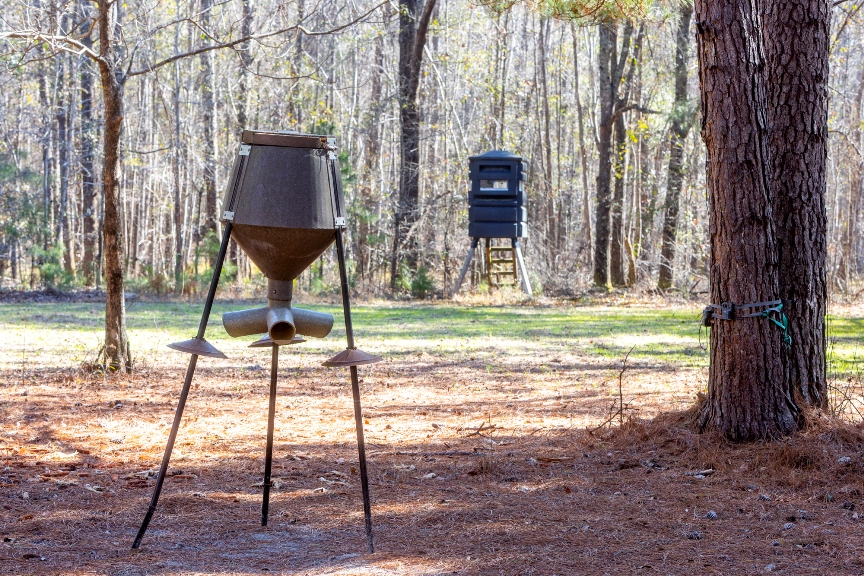 Richardson Creek Retreat – Tract 2 Photo