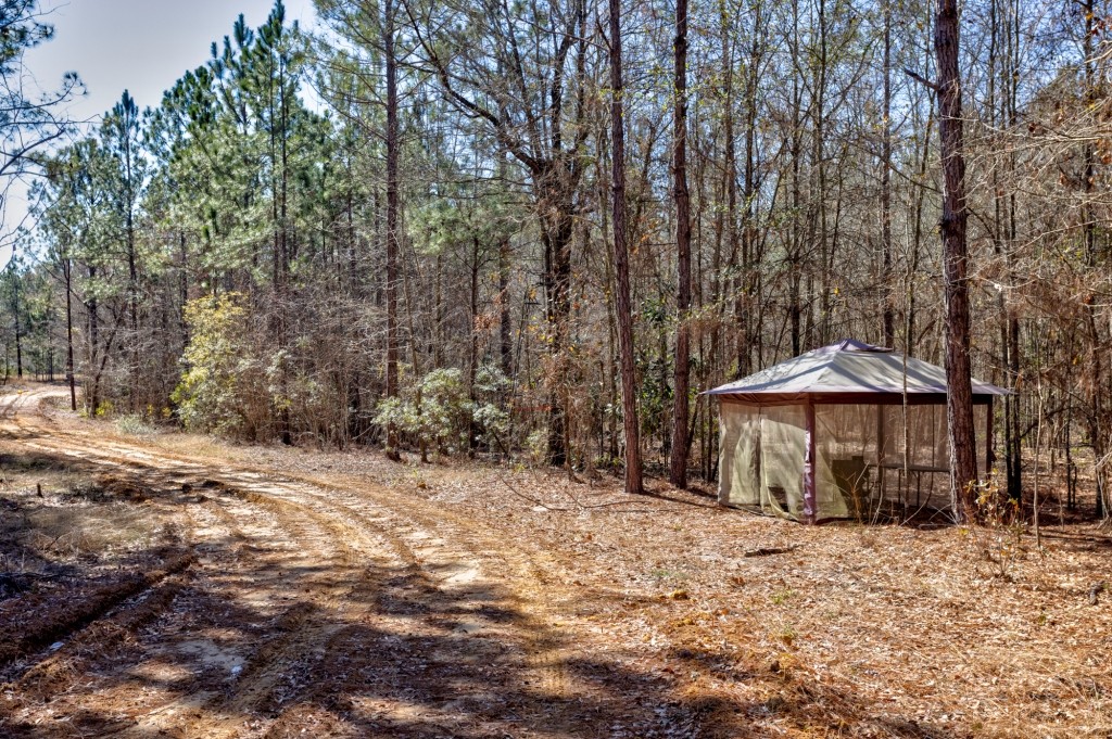 Sylvester Acres Photo