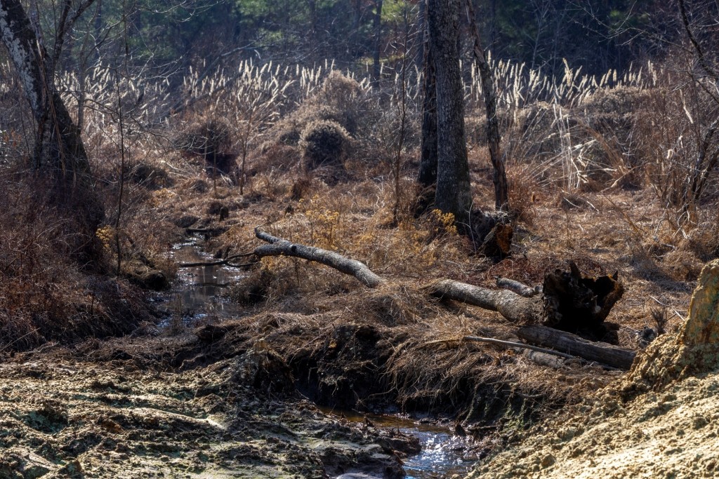 Richardson Creek Retreat Photo