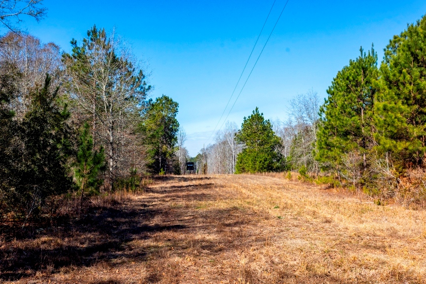 Richardson Creek Retreat – Tract 2 Photo