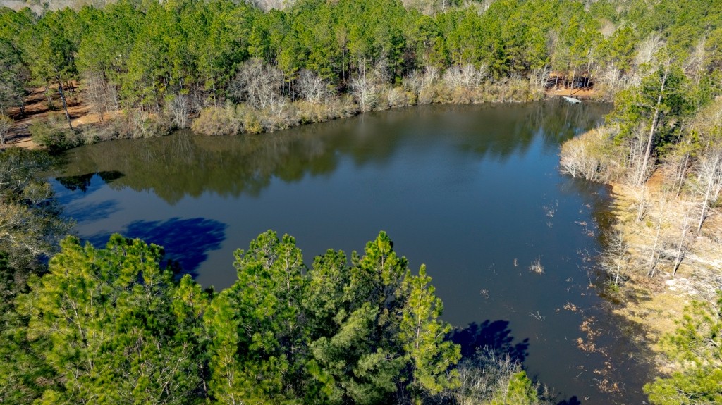 Sylvester Acres Photo