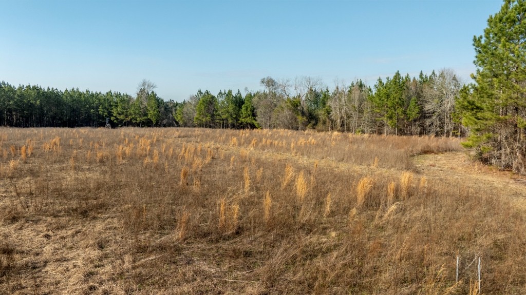 Richardson Creek Retreat Photo