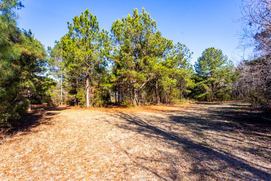 Richardson Creek Retreat – Tract 2 Photo