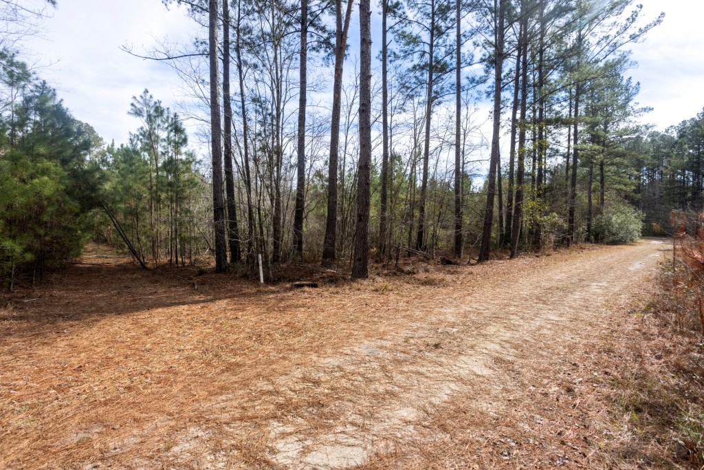 Bulloch Homeplace Photo