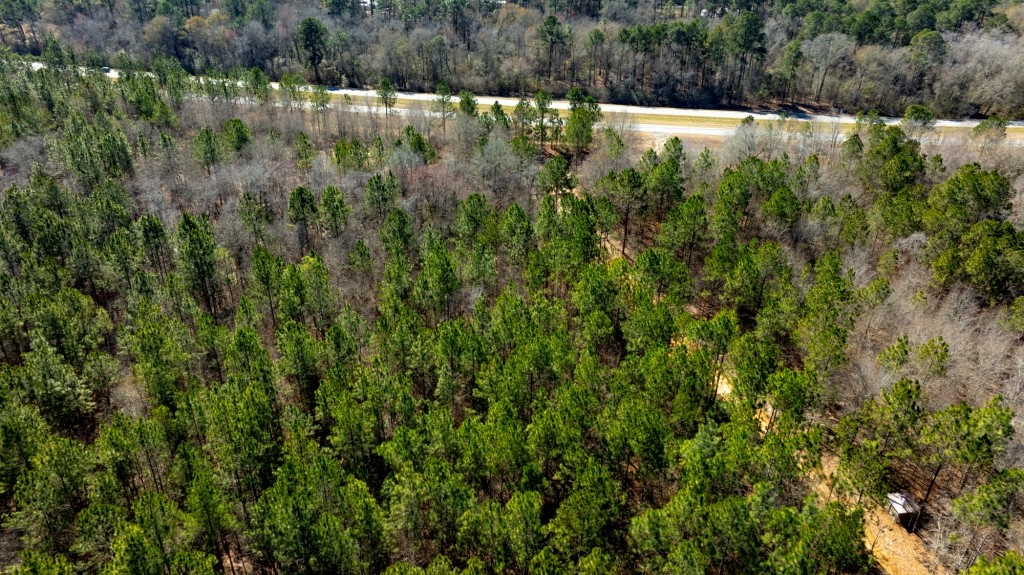 Sylvester Acres Photo