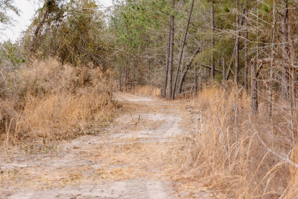 Bunn Store Road Homesite Photo