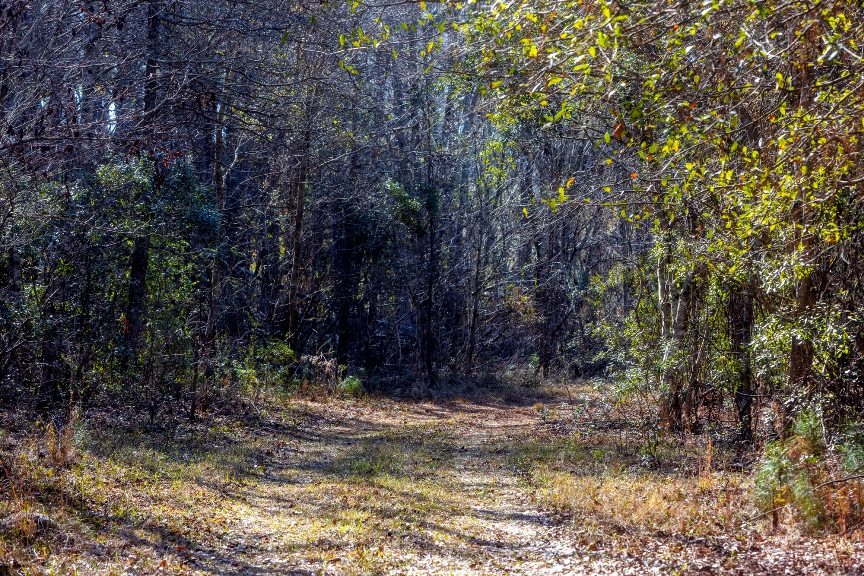 Richardson Creek Retreat Photo