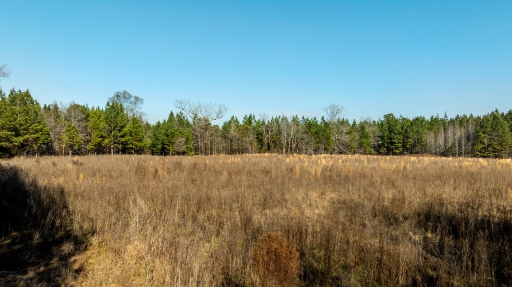 Richardson Creek Retreat Photo