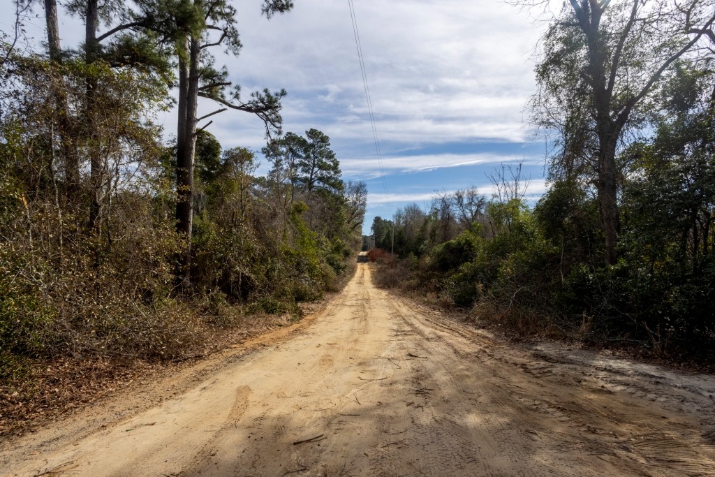 Bulloch Homeplace Photo
