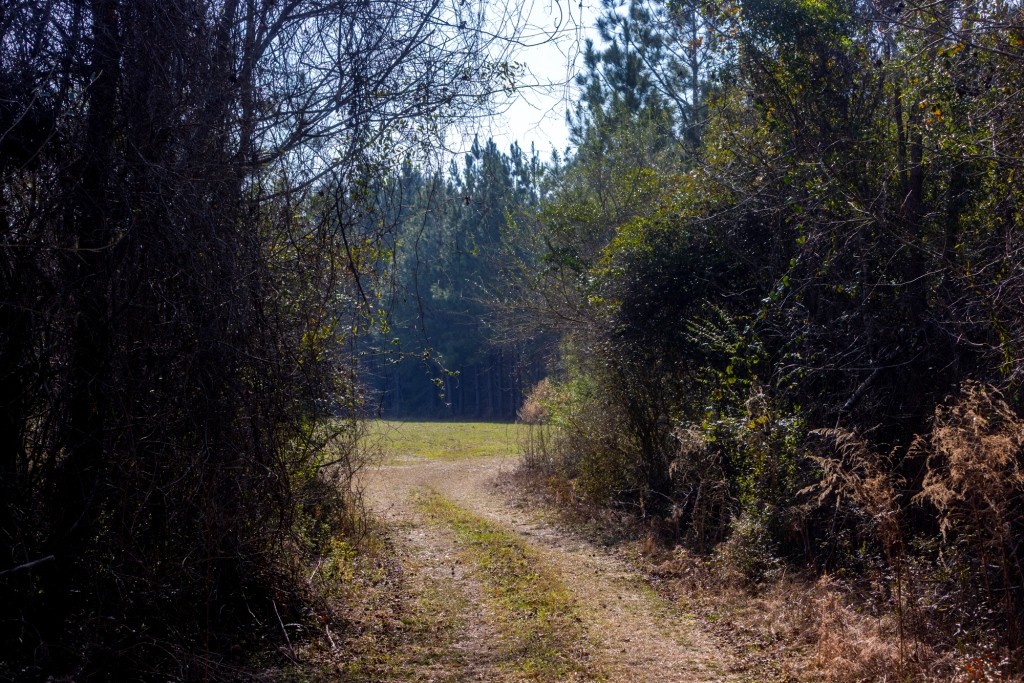 Richardson Creek Retreat – Tract 2 Photo
