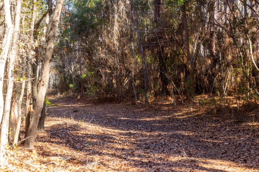 Richardson Creek Retreat – Tract 2 Photo