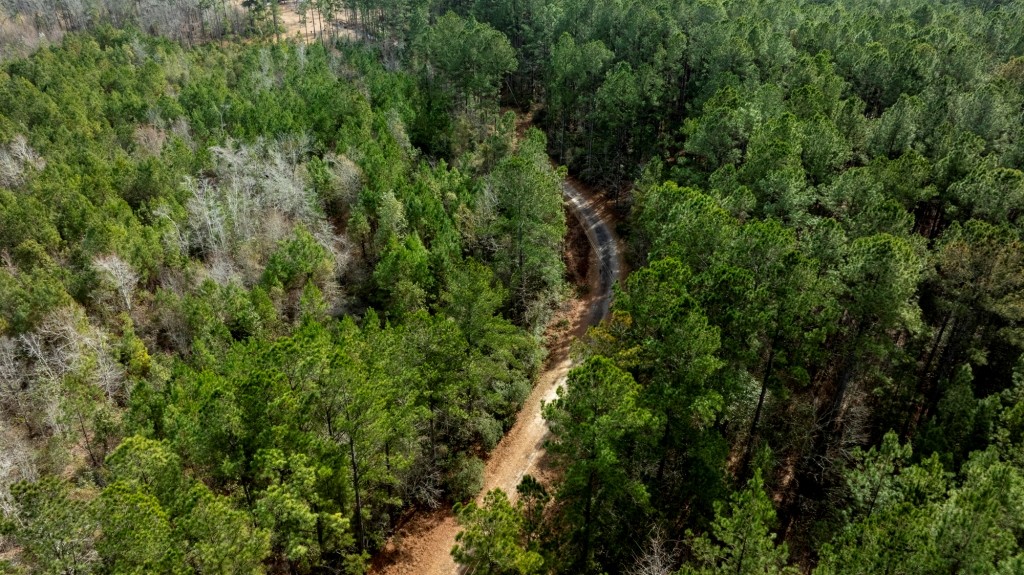 Bulloch Homeplace Photo