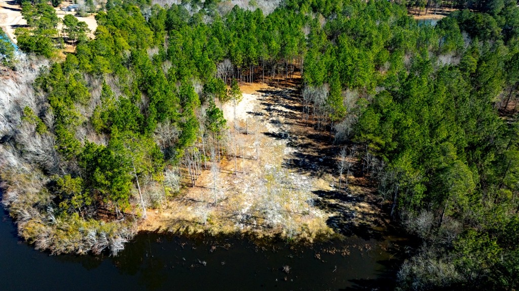 Sylvester Acres Photo