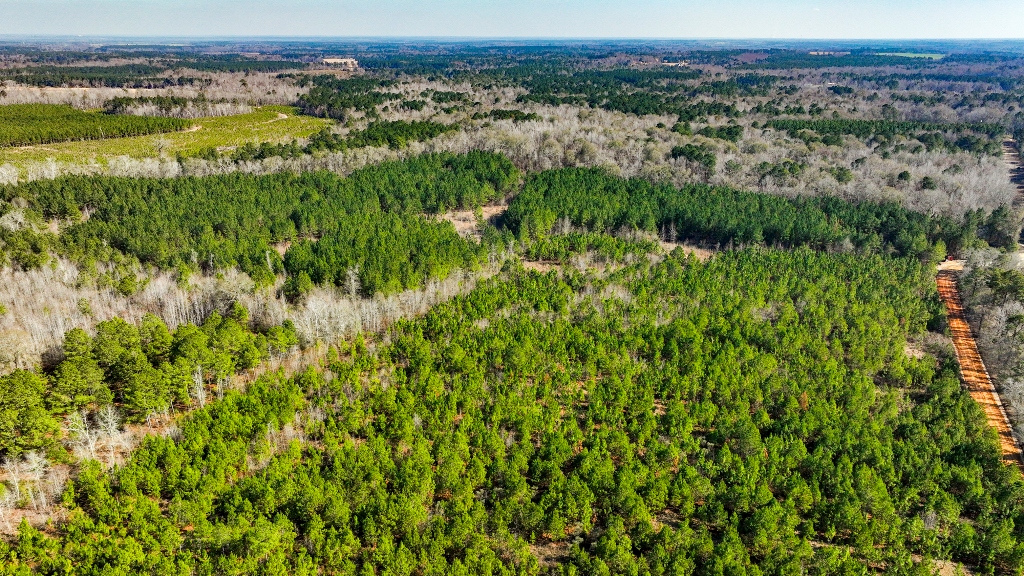 Richardson Creek Retreat Photo