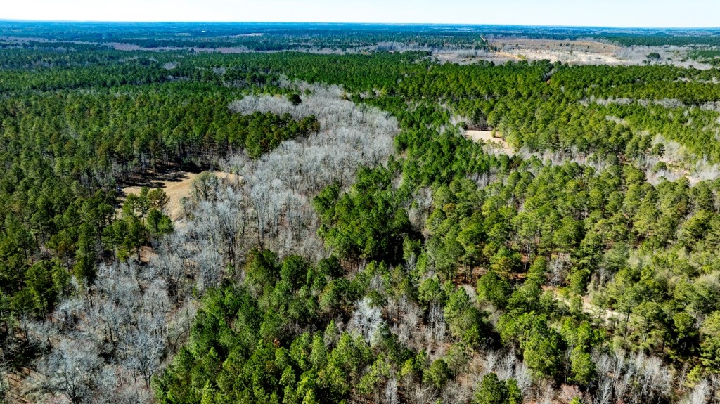 Lighter Knot Farm Photo