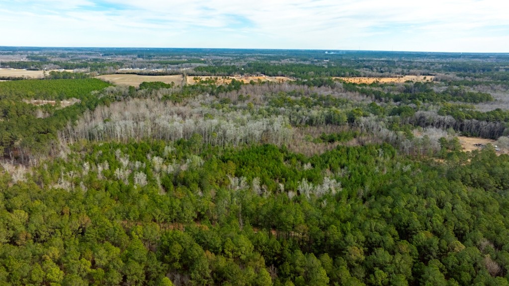 Bulloch Homeplace Photo