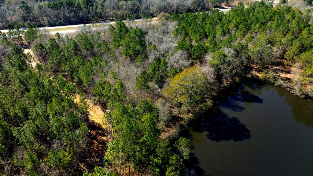 Sylvester Acres Photo