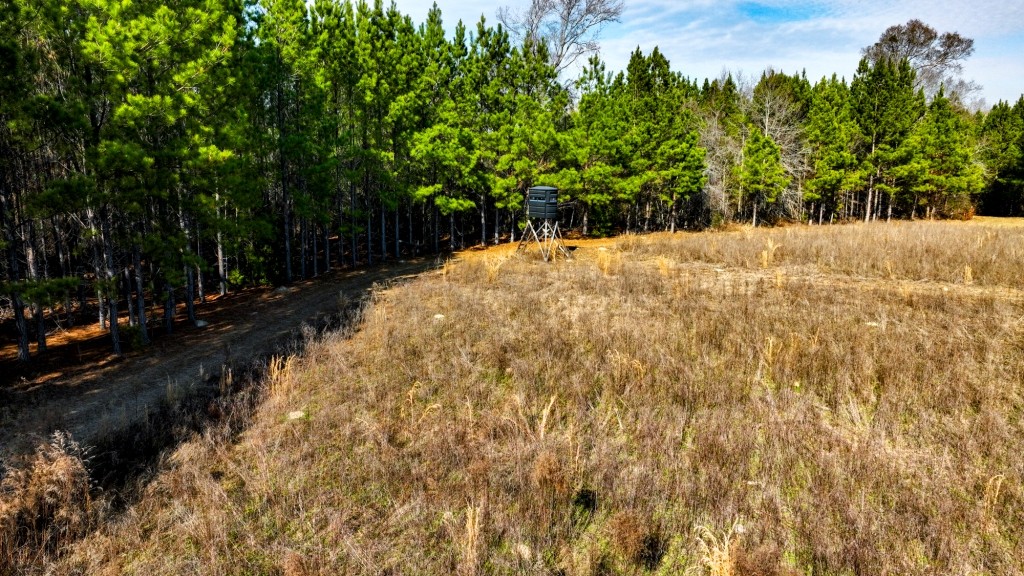 Richardson Creek Retreat – Tract 2 Photo