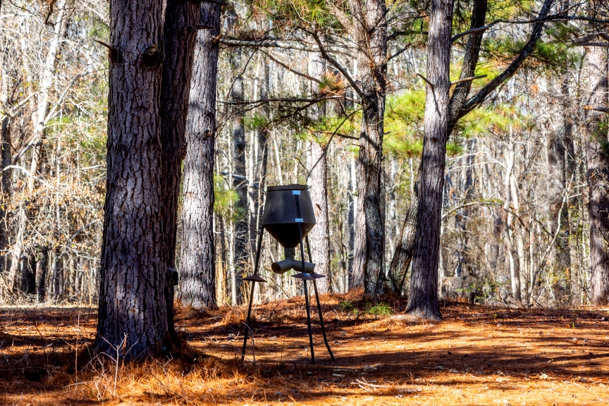 Richardson Creek Retreat – Tract 2 Photo