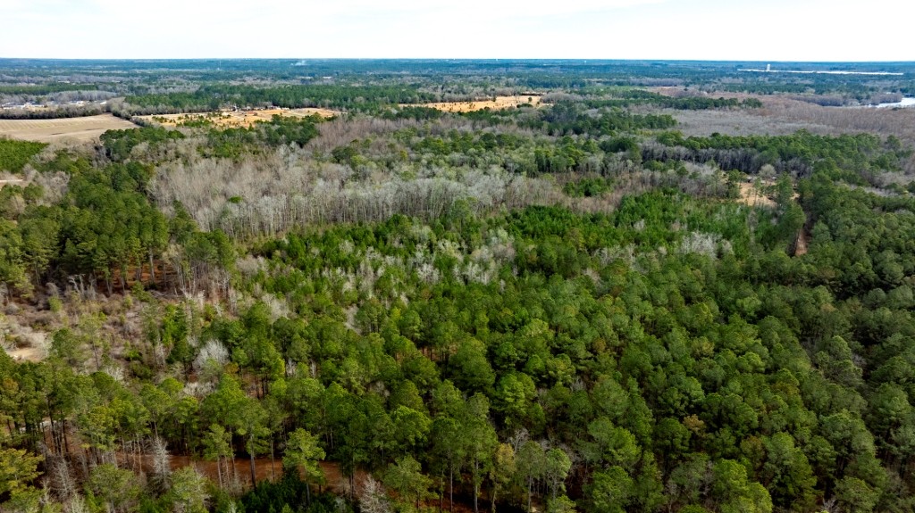 Bulloch Homeplace Photo