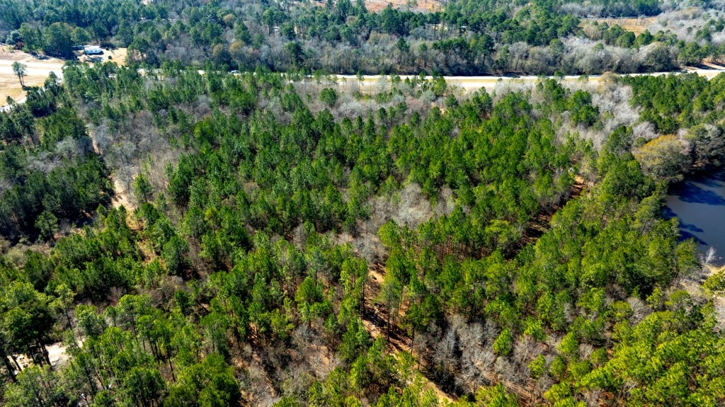 Sylvester Acres Photo