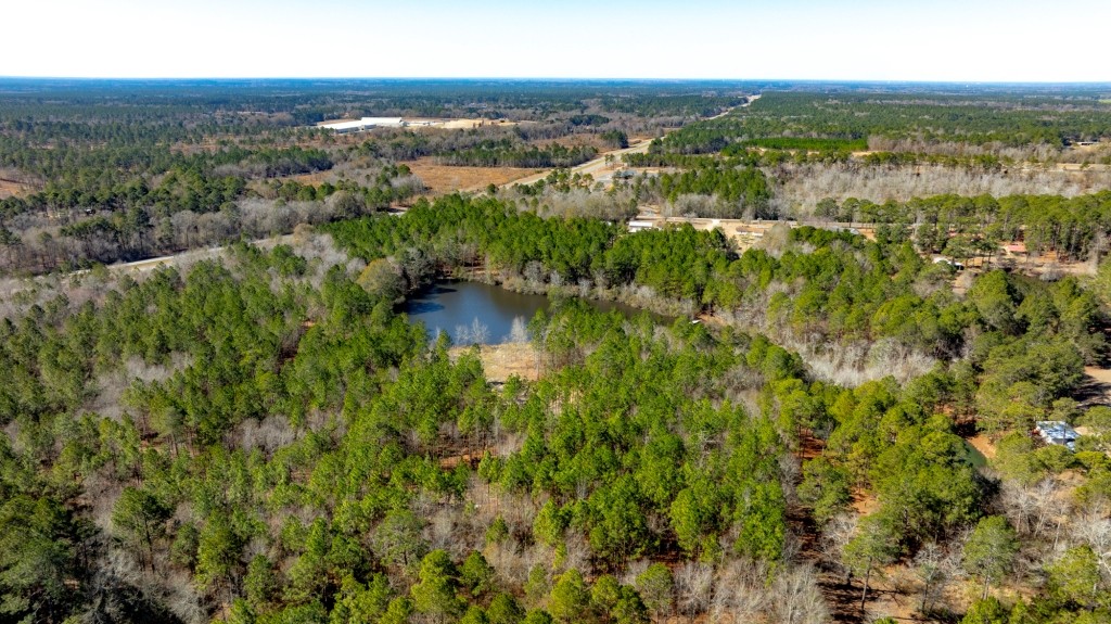 Sylvester Acres Photo