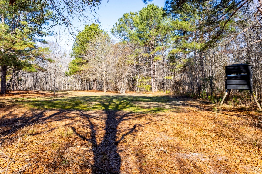 Richardson Creek Retreat – Tract 2 Photo