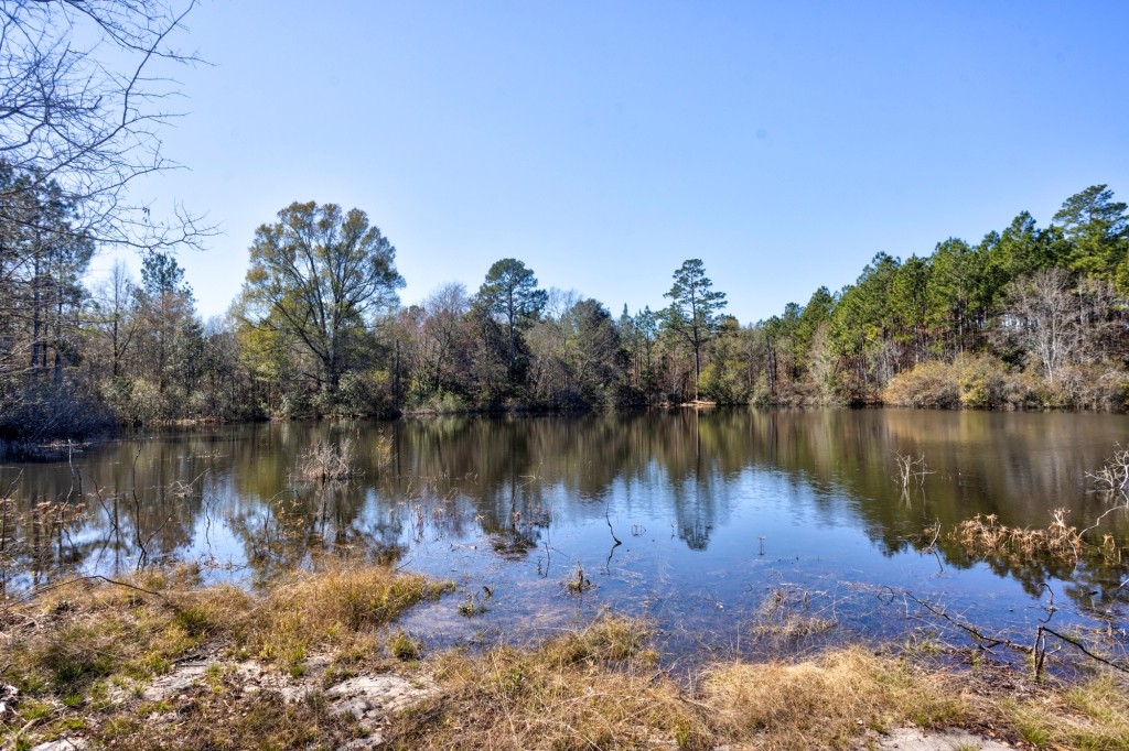 Sylvester Acres Photo