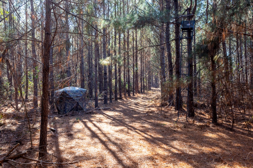 Richardson Creek Retreat – Tract 2 Photo