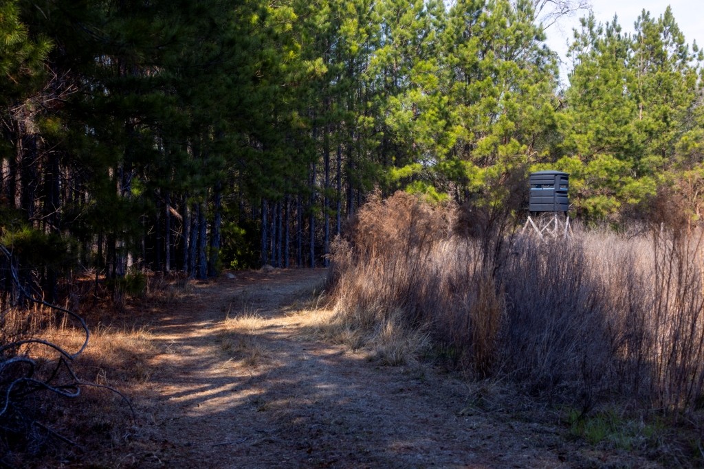 Richardson Creek Retreat – Tract 2 Photo