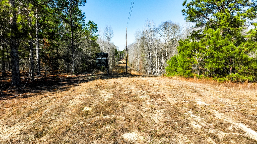 Richardson Creek Retreat Photo