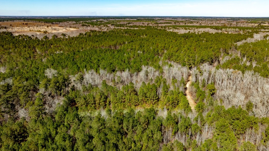 Lighter Knot Farm Photo