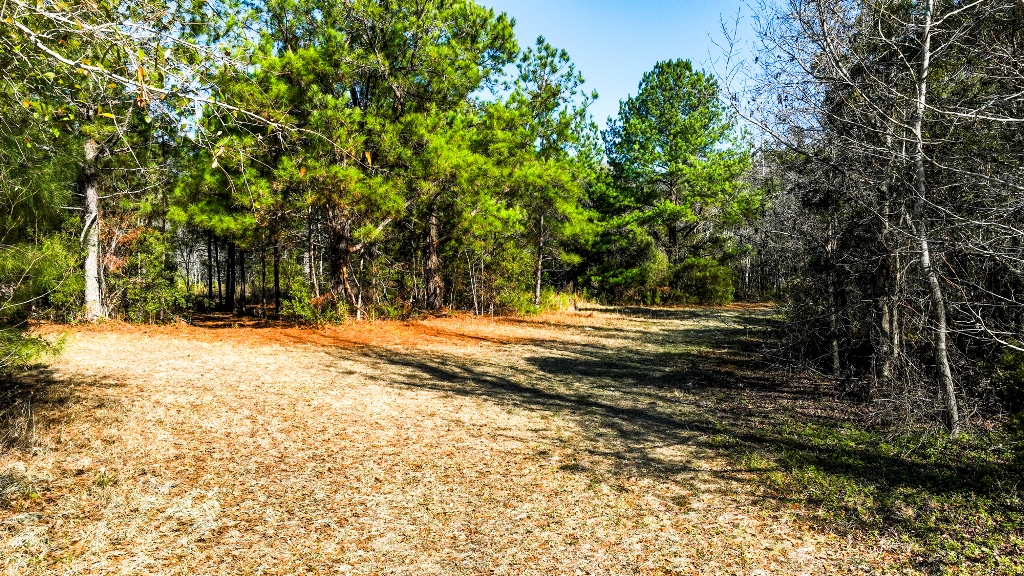 Richardson Creek Retreat – Tract 2 Photo