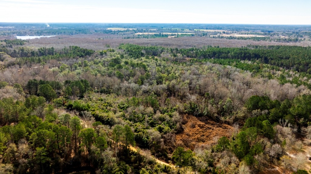 Bulloch Homeplace Photo