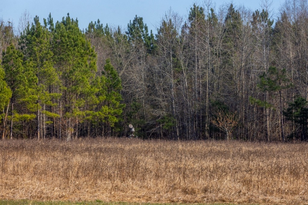 Richardson Creek Retreat Photo