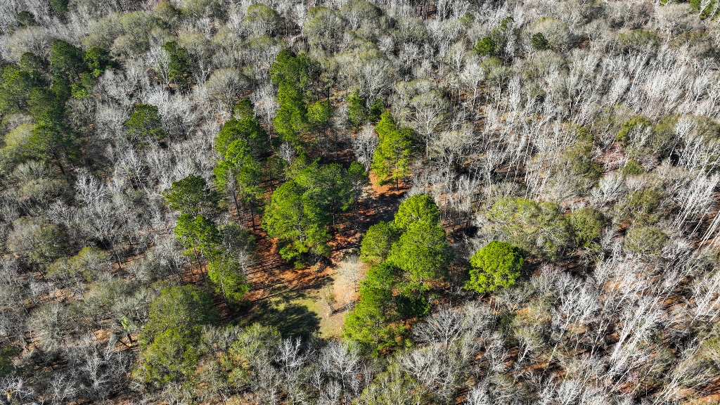 Richardson Creek Retreat – Tract 2 Photo