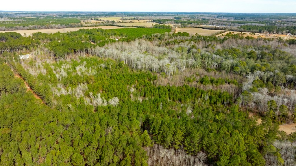 Bulloch Homeplace Photo